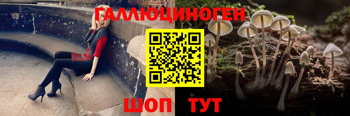 Псилоцибиновые грибы прущие грибы  Вход с VPN  что такое наркотик  Энгельс 