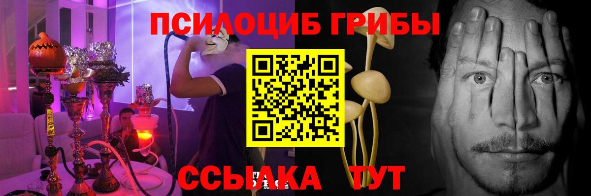 Галлюциногенные грибы MAGIC MUSHROOMS Энгельс